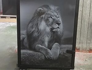 Фотопечать на сейфах