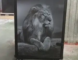 Фотопечать на сейфах
