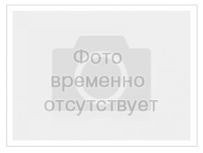 Стойка Профи-Т 2500 мм