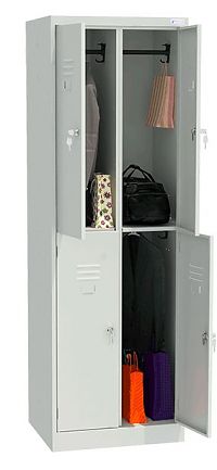 Шкаф для одежды ШР 24-600 (сварной)
